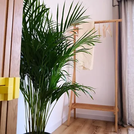 Quinta Das Alfazemas Landsted