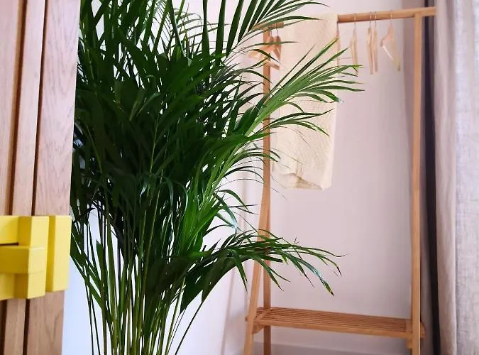 Quinta Alfazemas Casa rural