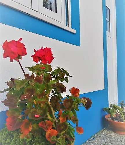 Quinta Alfazemas Ericeira